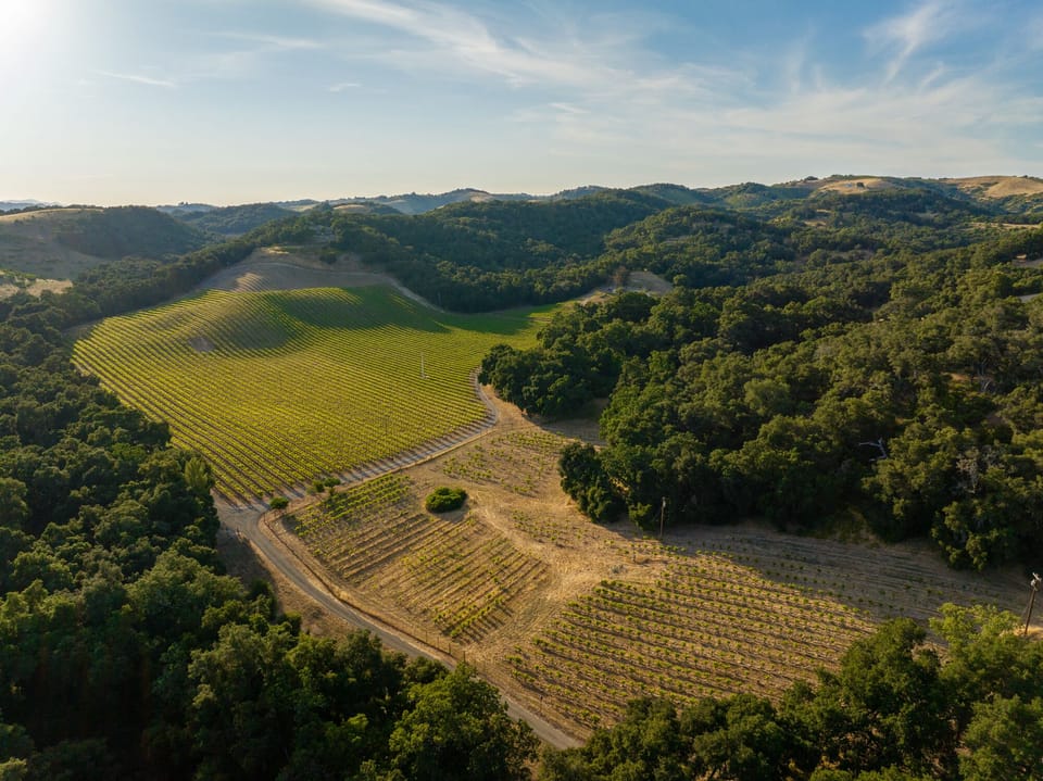 Rolling hills and vineyard rows create a wide-open countryside view