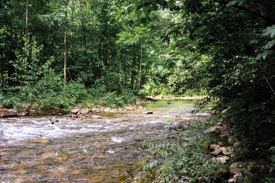 Enjoy small falls, gentle rapids, and refreshing swimming holes along Dry River.