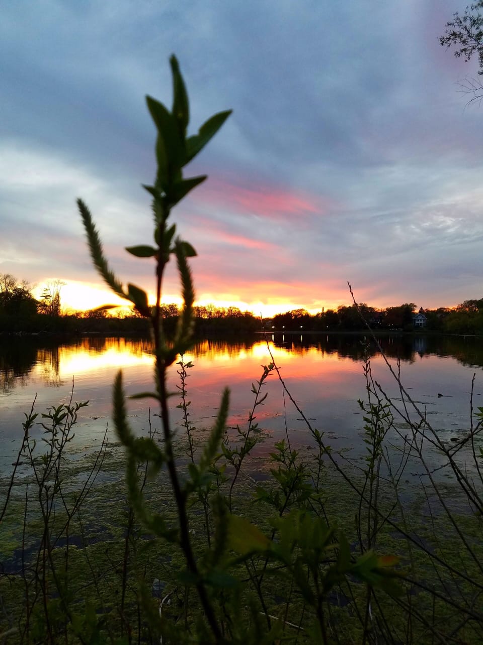 Another incredible sunset over Lake of the Isles.