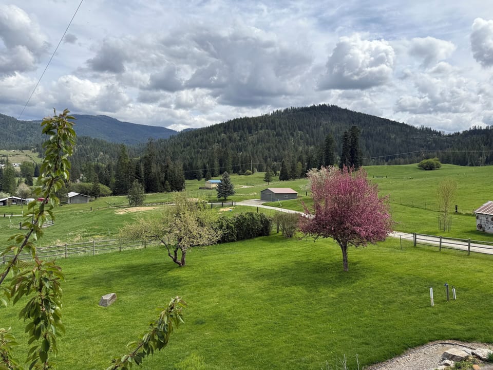 Mountain Views
