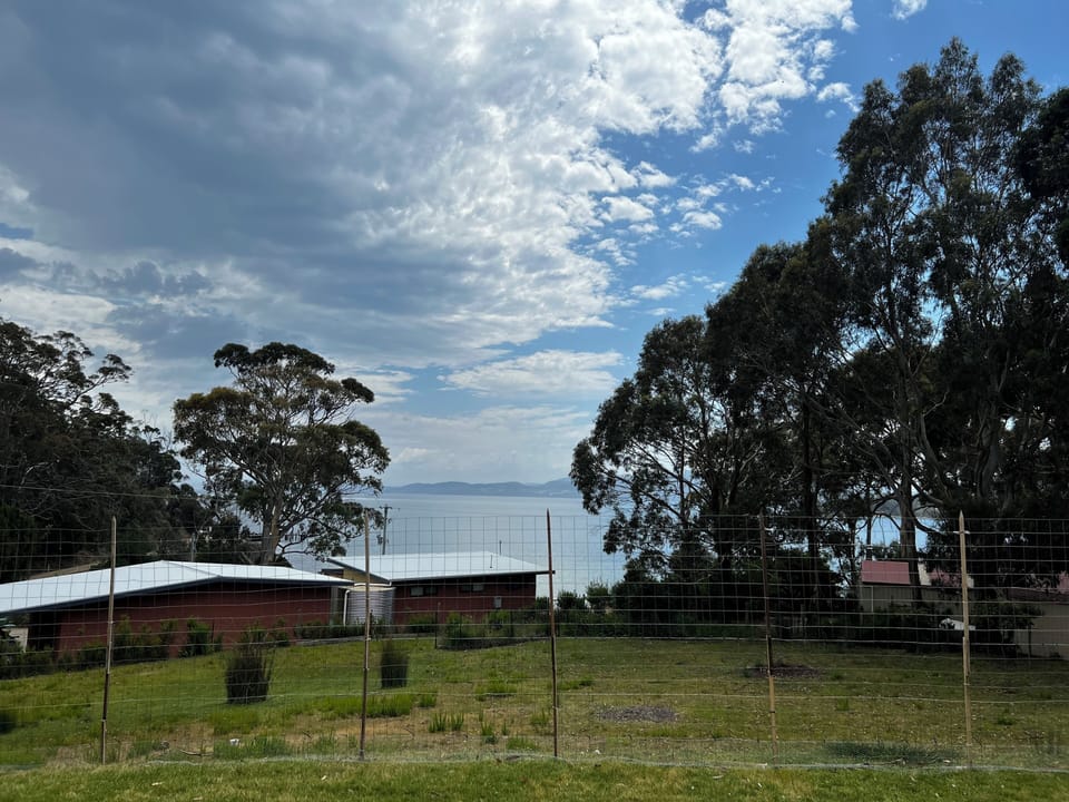 Fenced dog yard with view 