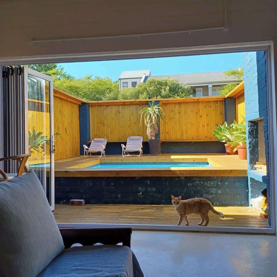 View of the deck and pool area from the lounge. Tigger, our ginger cat likes to pop around for a visit and a cuddle.