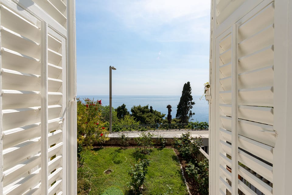 VIEW FROM THE HOUSE