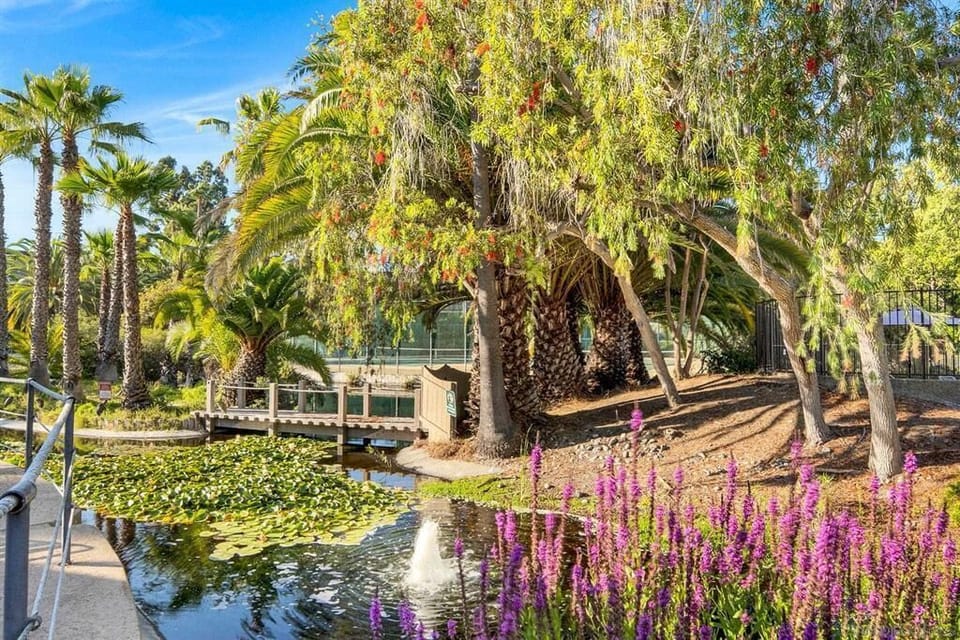 Koi Pond (1)