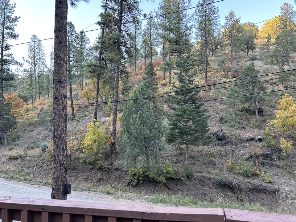 View from property