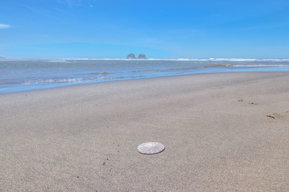 Rockaway Beach (1).jpg