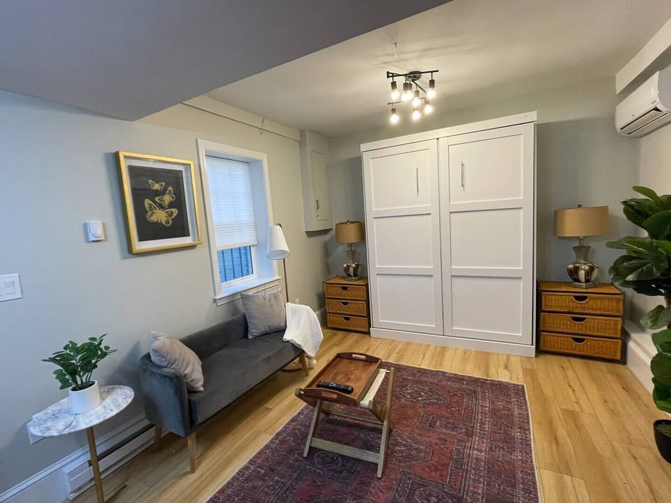 Living room space with Murphy bed up.