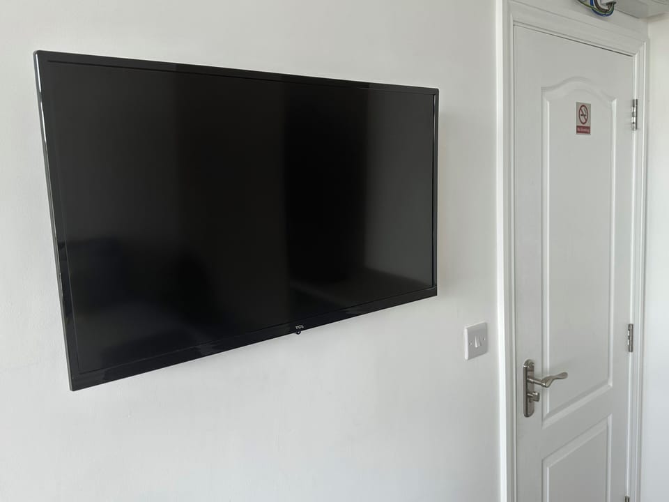 Television