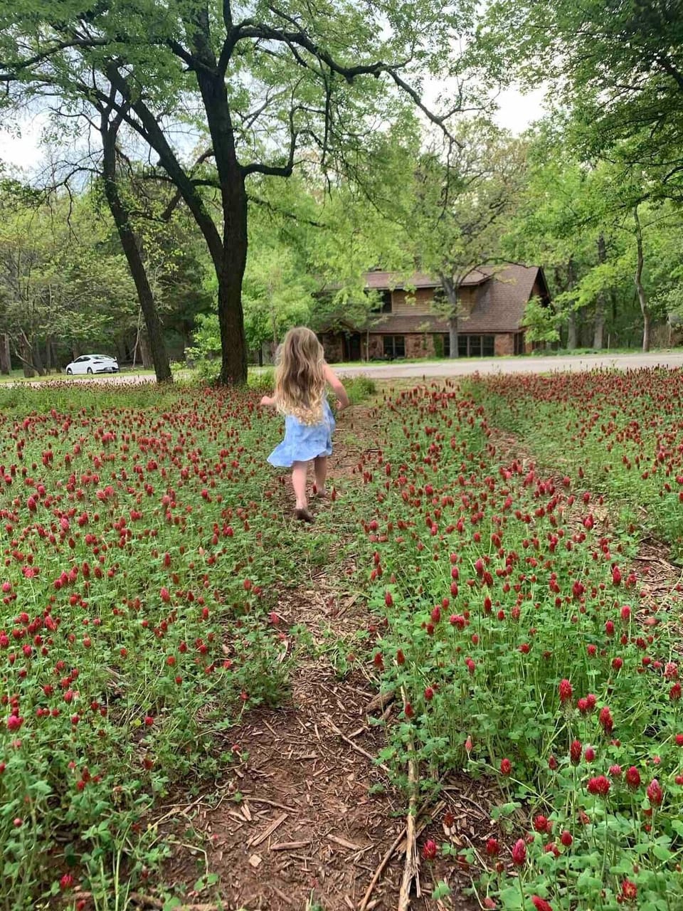 In spring, we have an acre of red clover in bloom(late April/early May) pictured: My daughter running along one of the paths to The Gate House. The front porch is where all guests spend their mornings looking at the clover swaying in the wind.