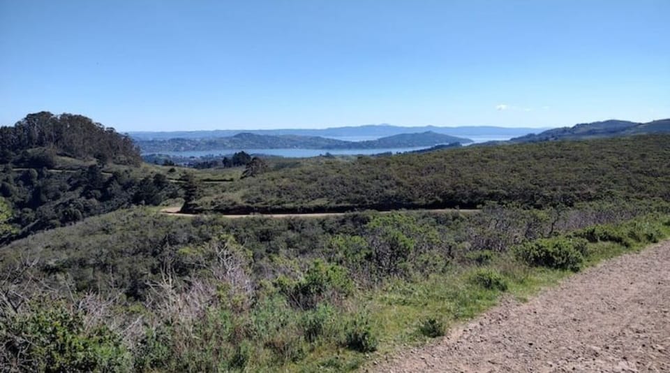 Miwok Trail
