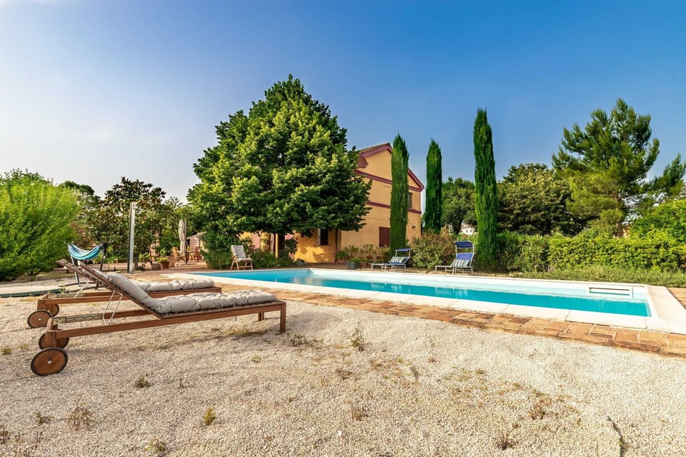 Sky, Plant, Tree, Road Surface, Land Lot, House, Grass, Wood, Leisure, Shade