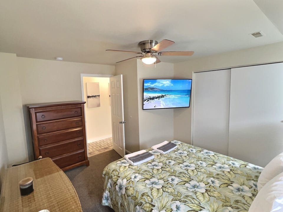 2nd floor Primary Bedroom - 55" Alexa Smart TV