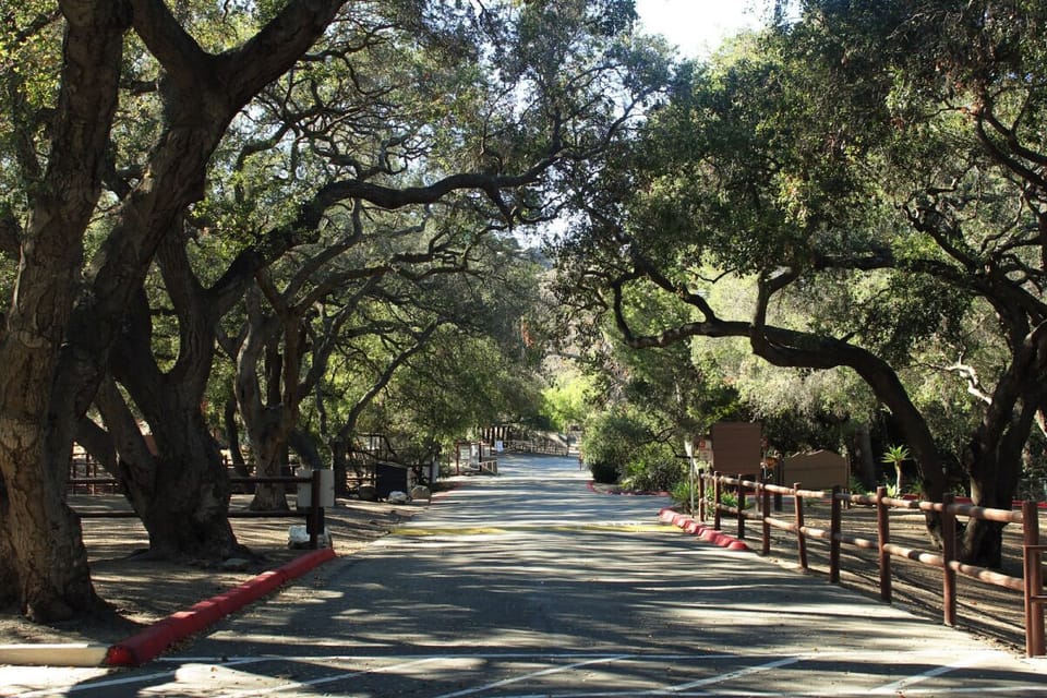 Explore peaceful tree-lined roads for an easy morning stroll.