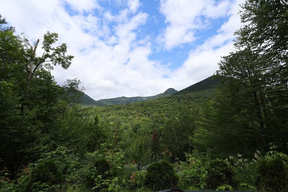 View of the white Mountains from the home