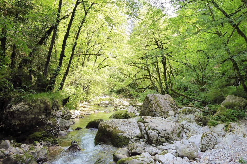 Surroundings [summer] (1-5 km)
