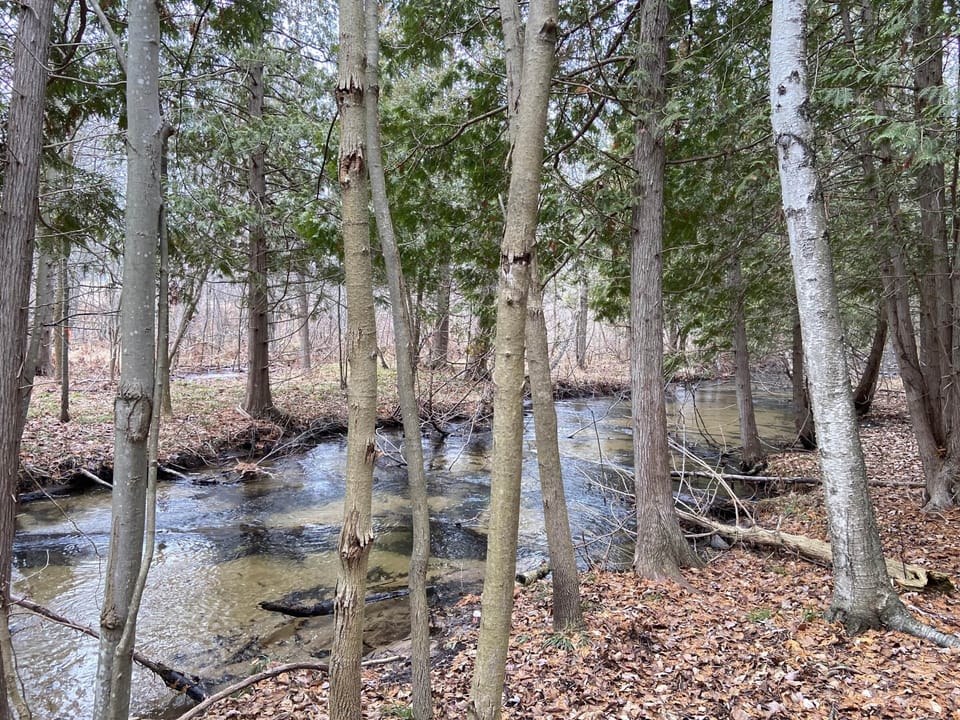 Acme Creek on KOTI property