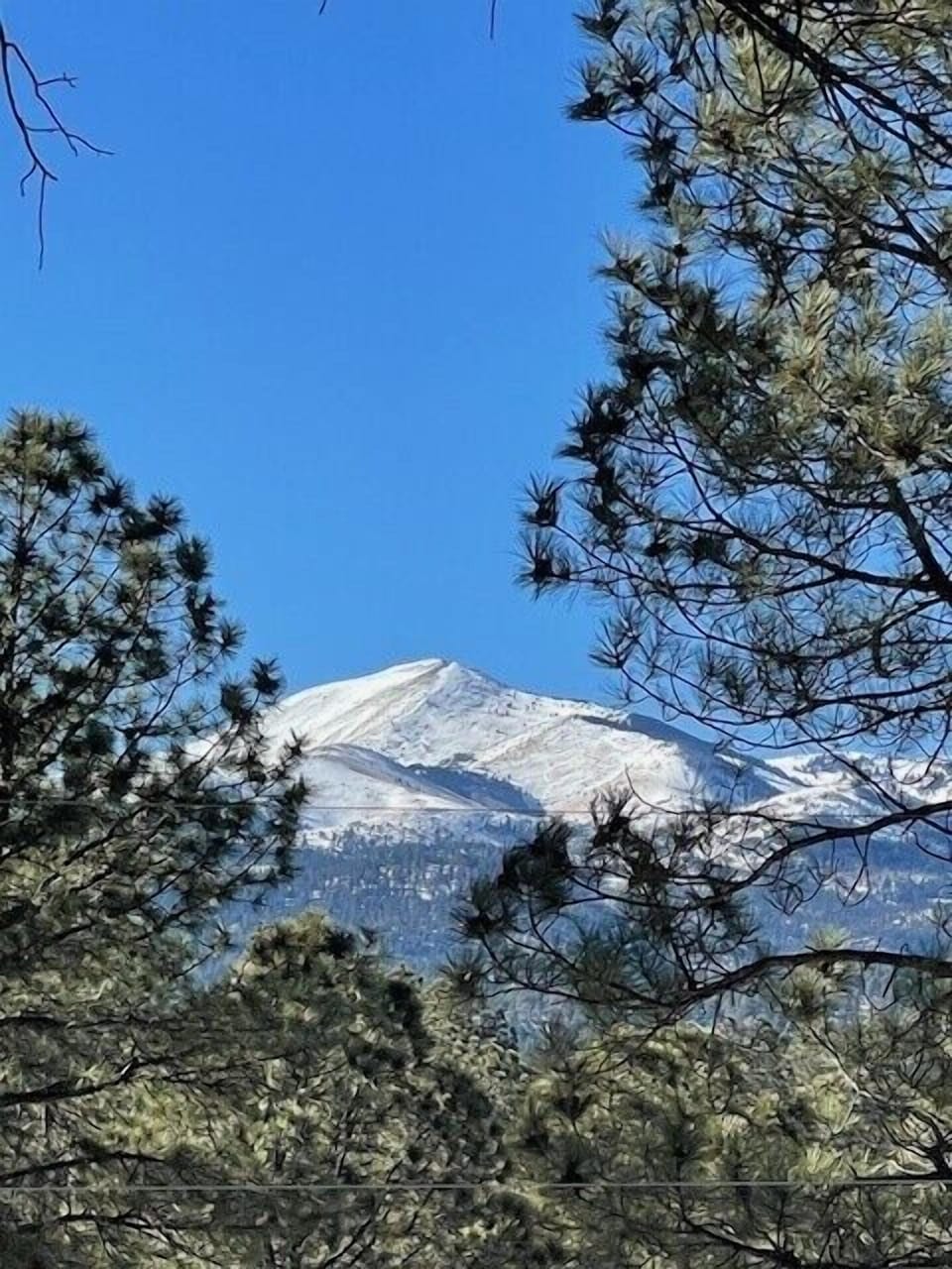 Spectacular view of the mountain from the back deck!