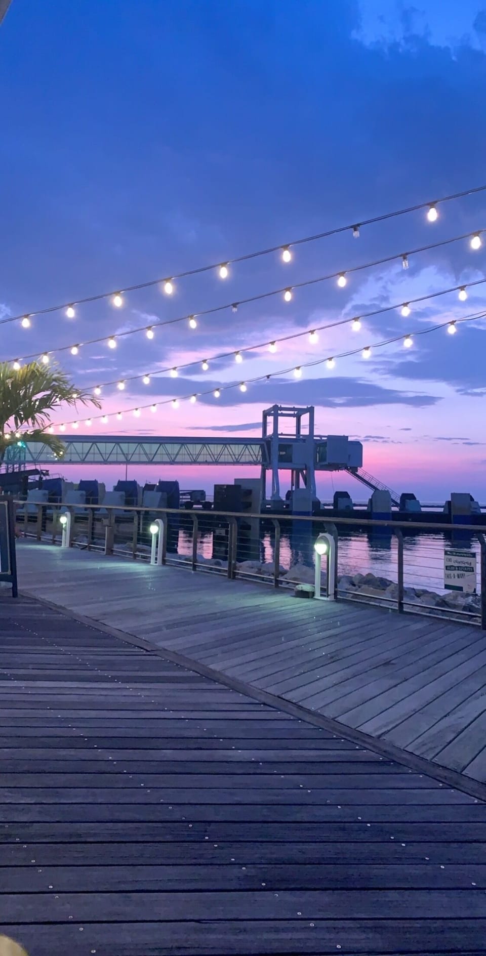 Cape May-Lewes Ferry terminal at night 