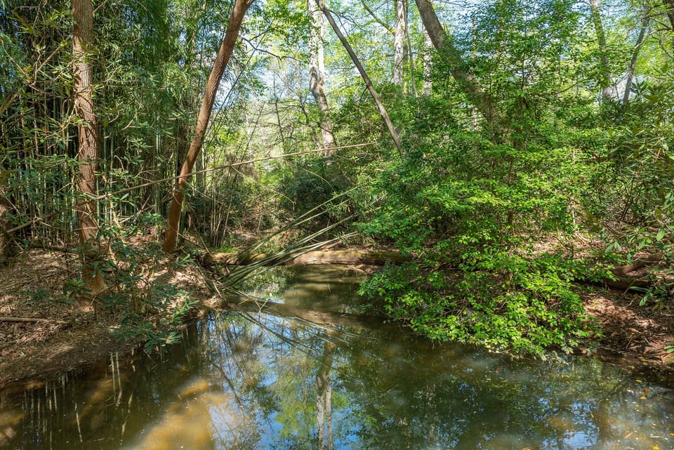 Tomahawk Branch Creek.