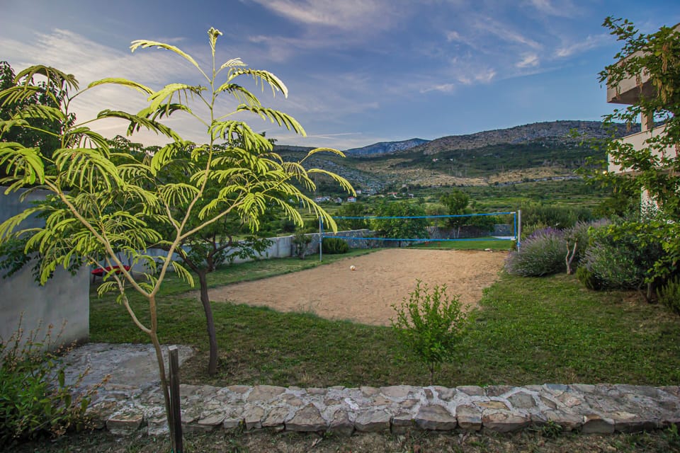 Sport court