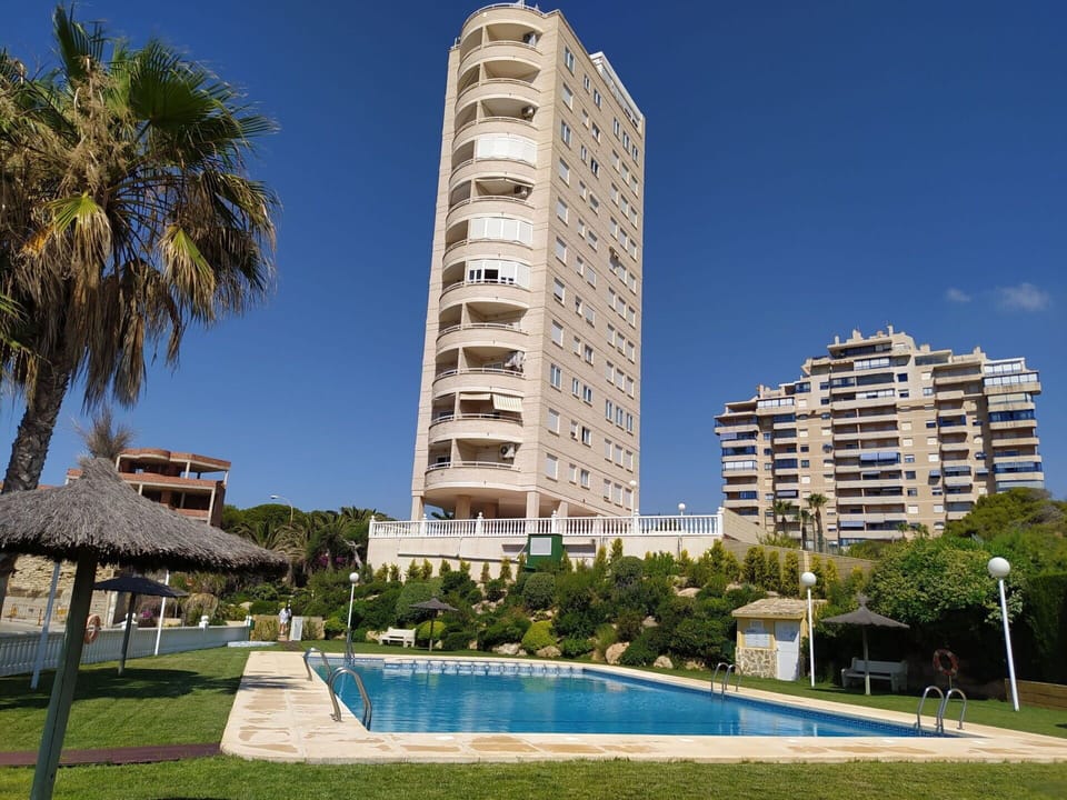 Sky, Plant, Building, Water, Property, Daytime, Azure, Skyscraper, Tree, Architecture