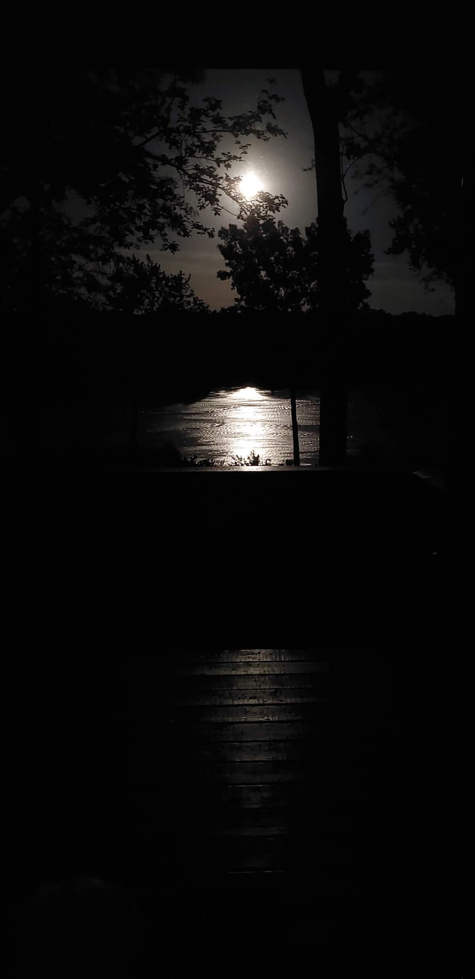 A beautiful full moon lights up our property. Truly a sight to see!