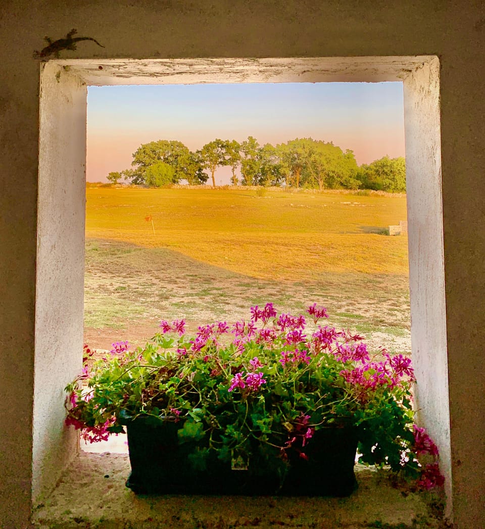 View from property