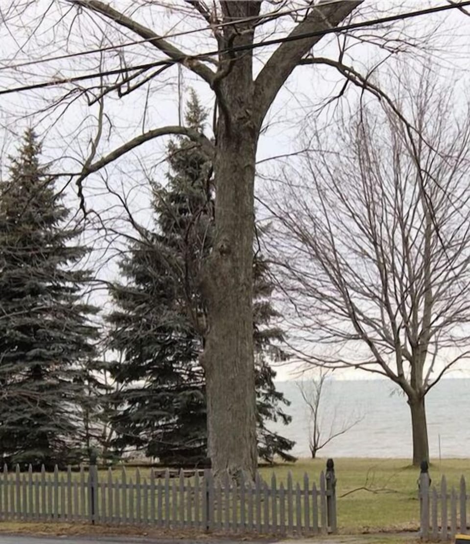 View of Lake Ontario from living room 