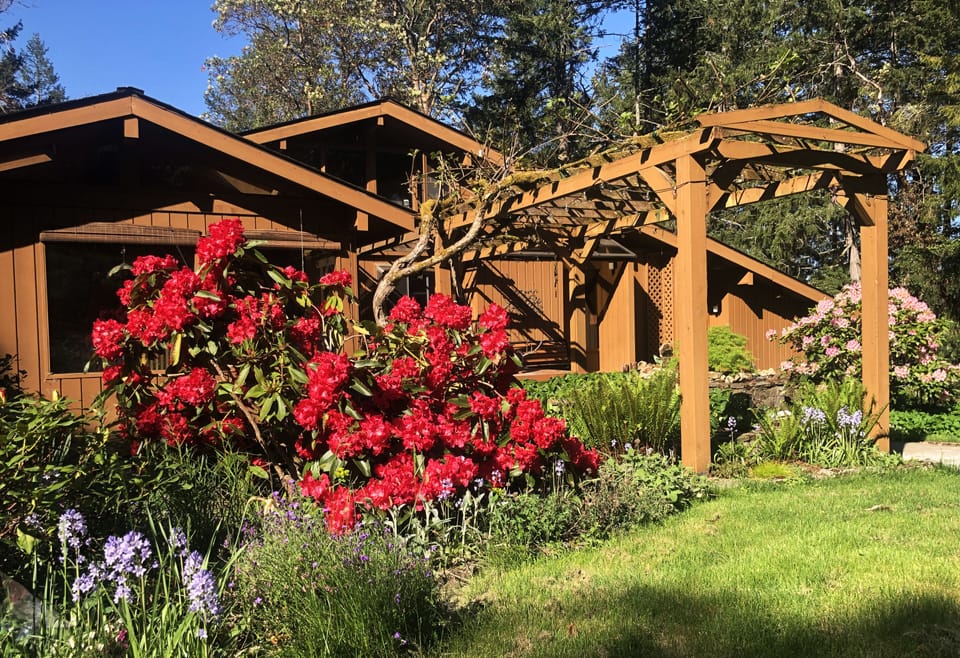 Herb and flower garden on the side of Misty Haven House