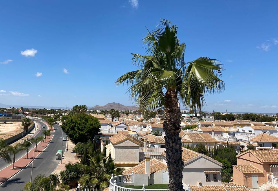 View from roof terrace