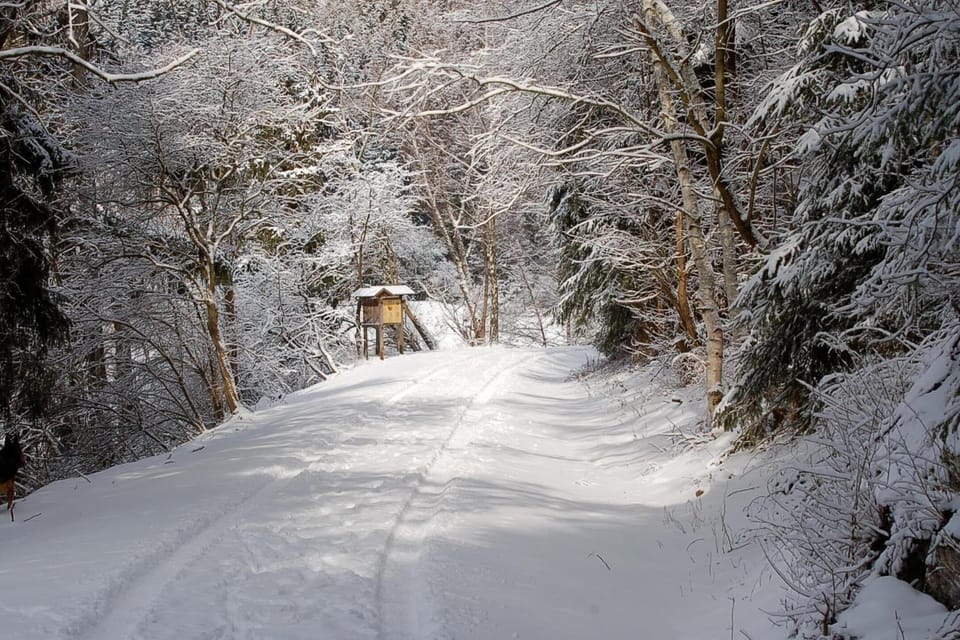 Surroundings [winter] (1-5 km)
