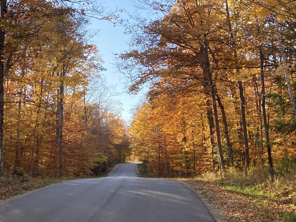 View from the driveway