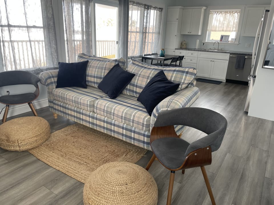 Living room and kitchen