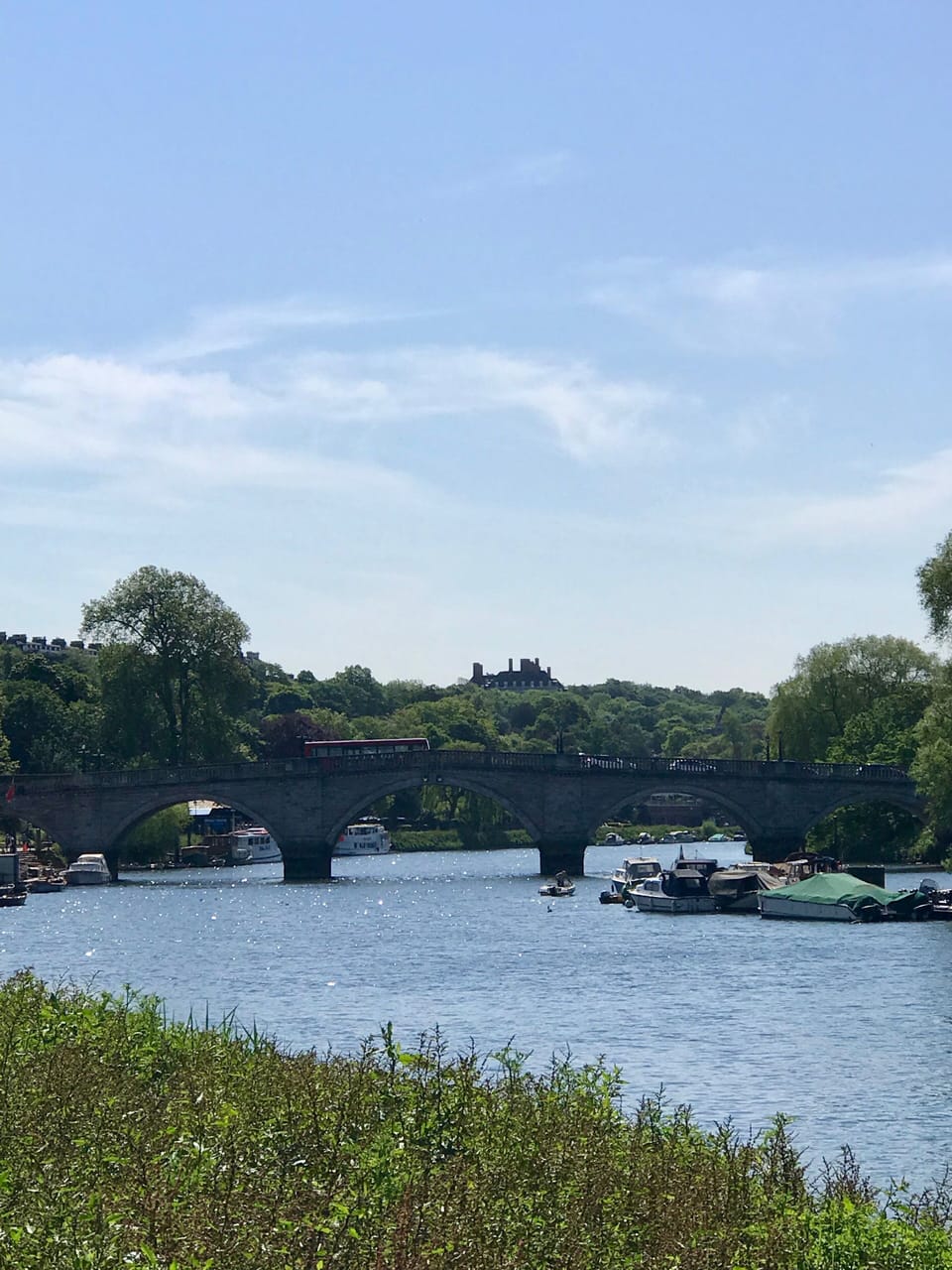 Richmond bridge from riverside 