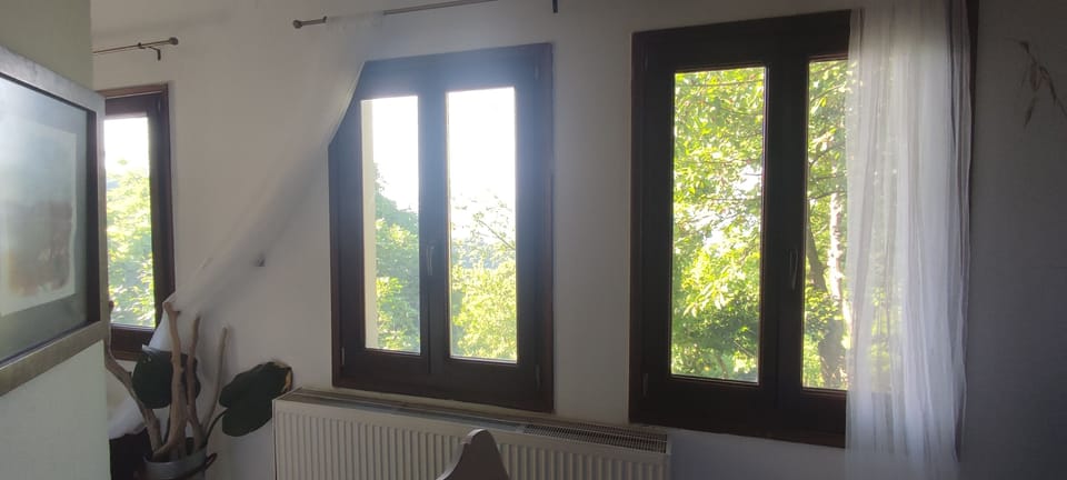 view from the windows