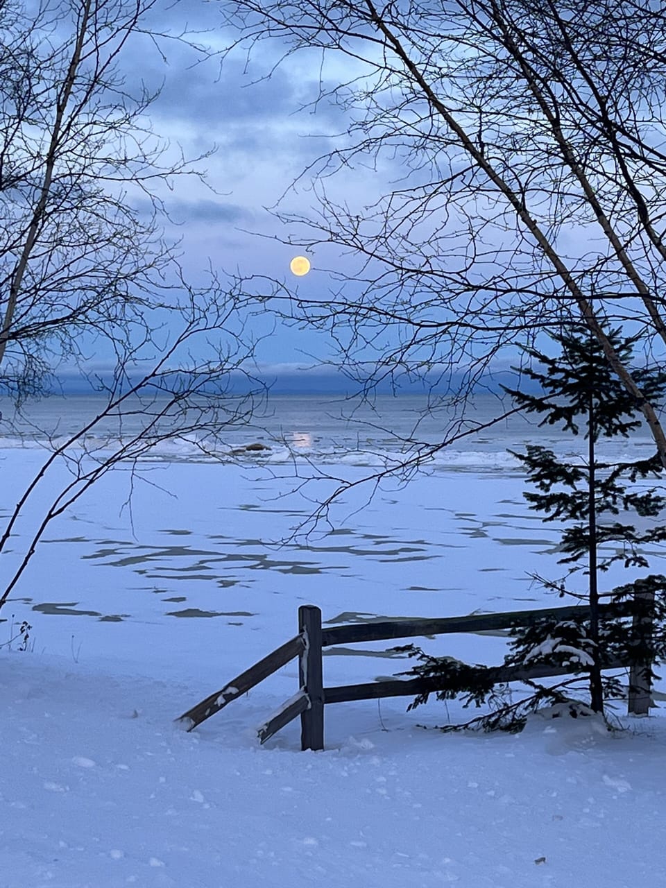Moon rise at cabin