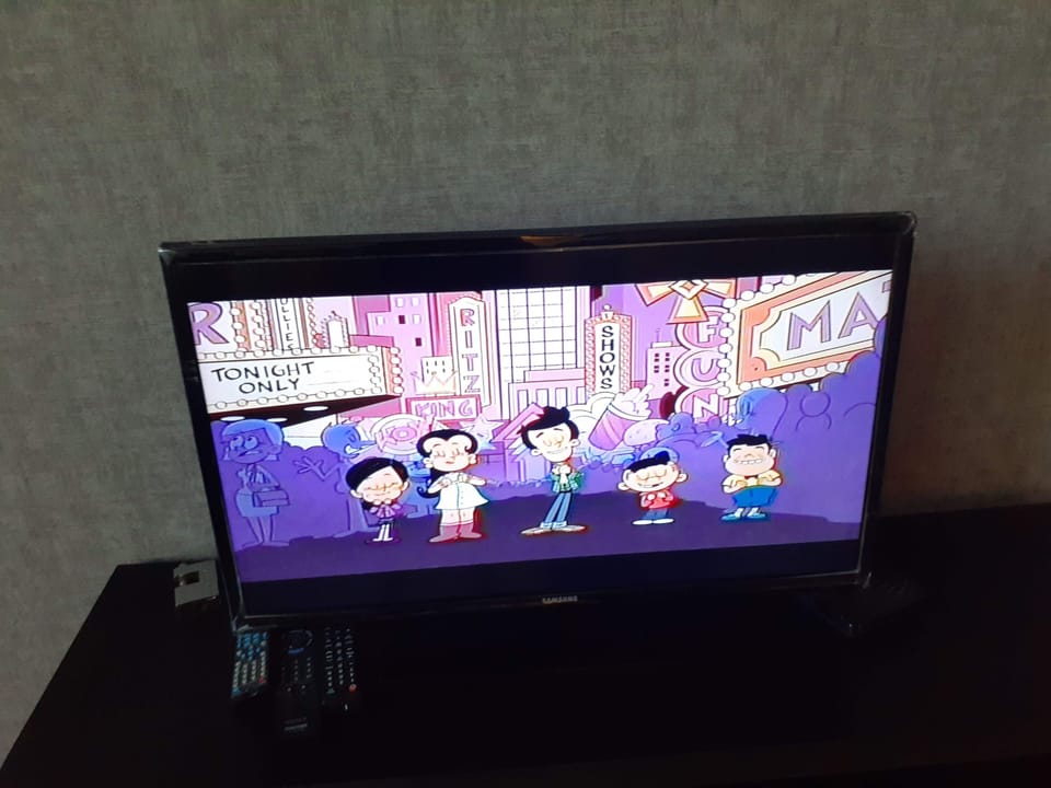Television