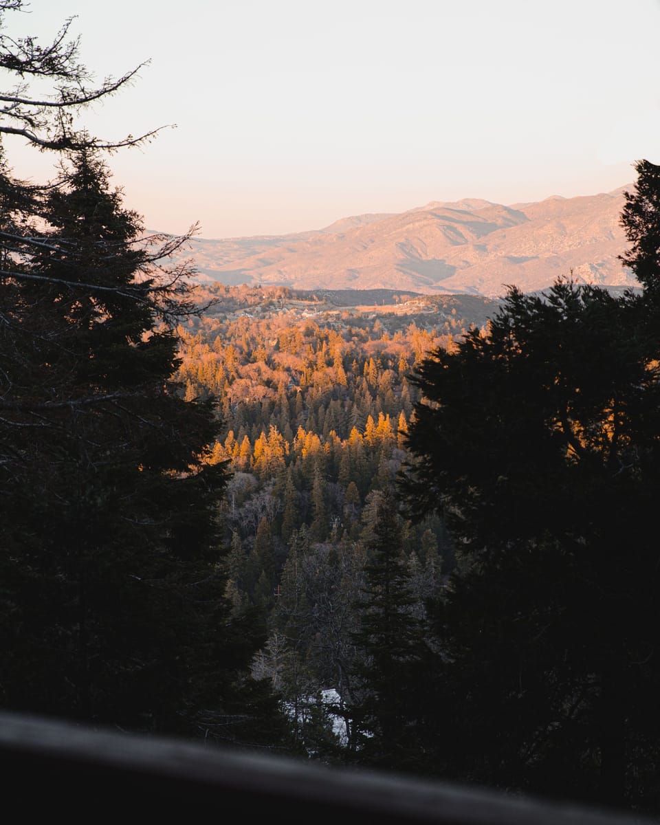 View from property