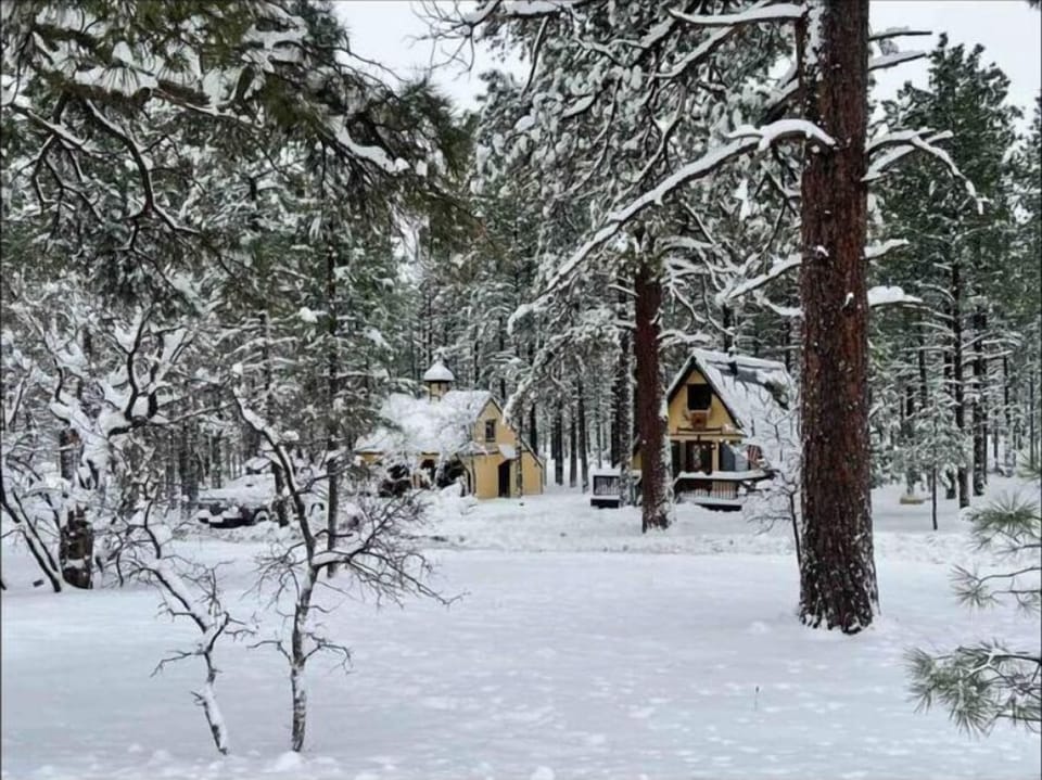 Jan 2023 - beautiful, peaceful and relaxing