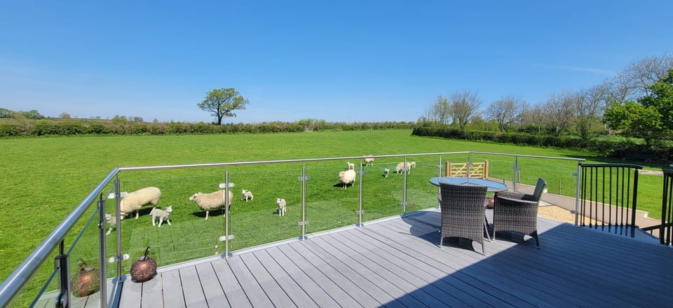 Relax in the sun and enjoy the views to Dartmoor and fields beyond