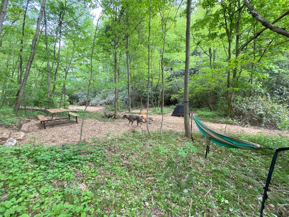 Very private by the creek