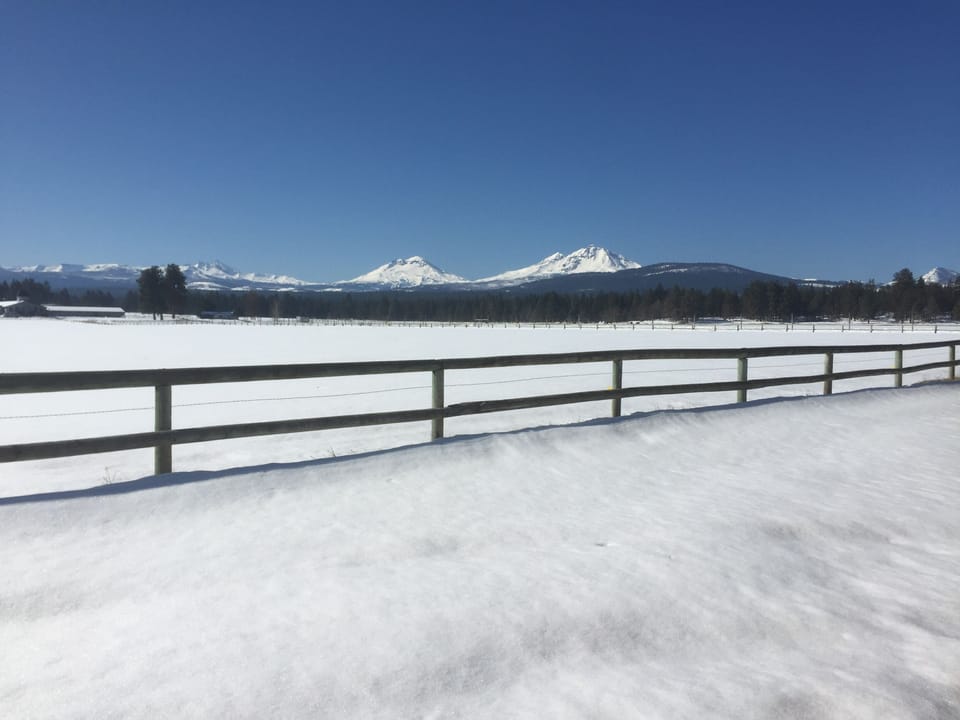 24 Winter wonder too