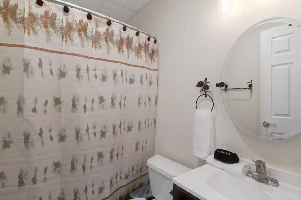 Guest bathroom with tub/shower.