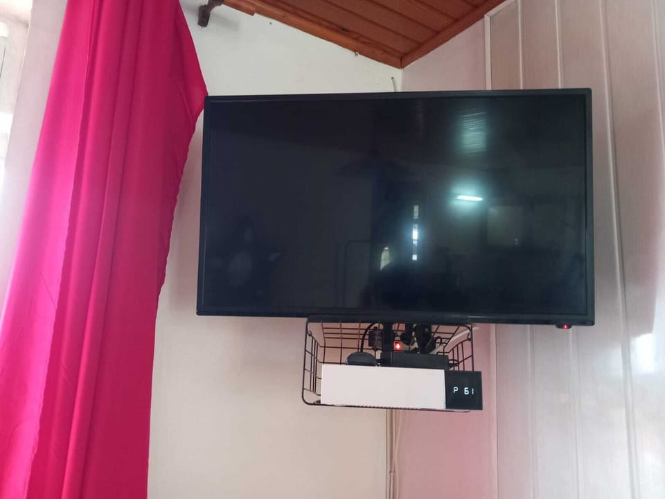 Television