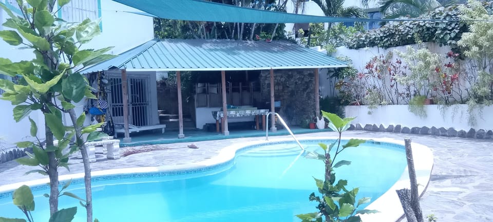 Pool and BBQ area