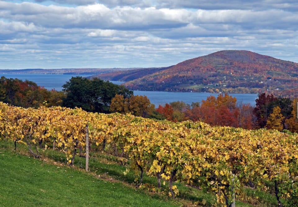 Enjoy the beauty of the fingerlakes!