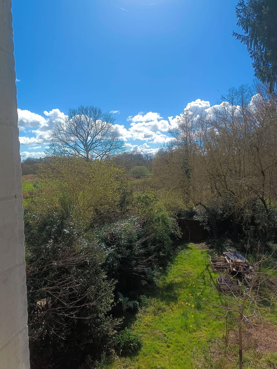 View from property