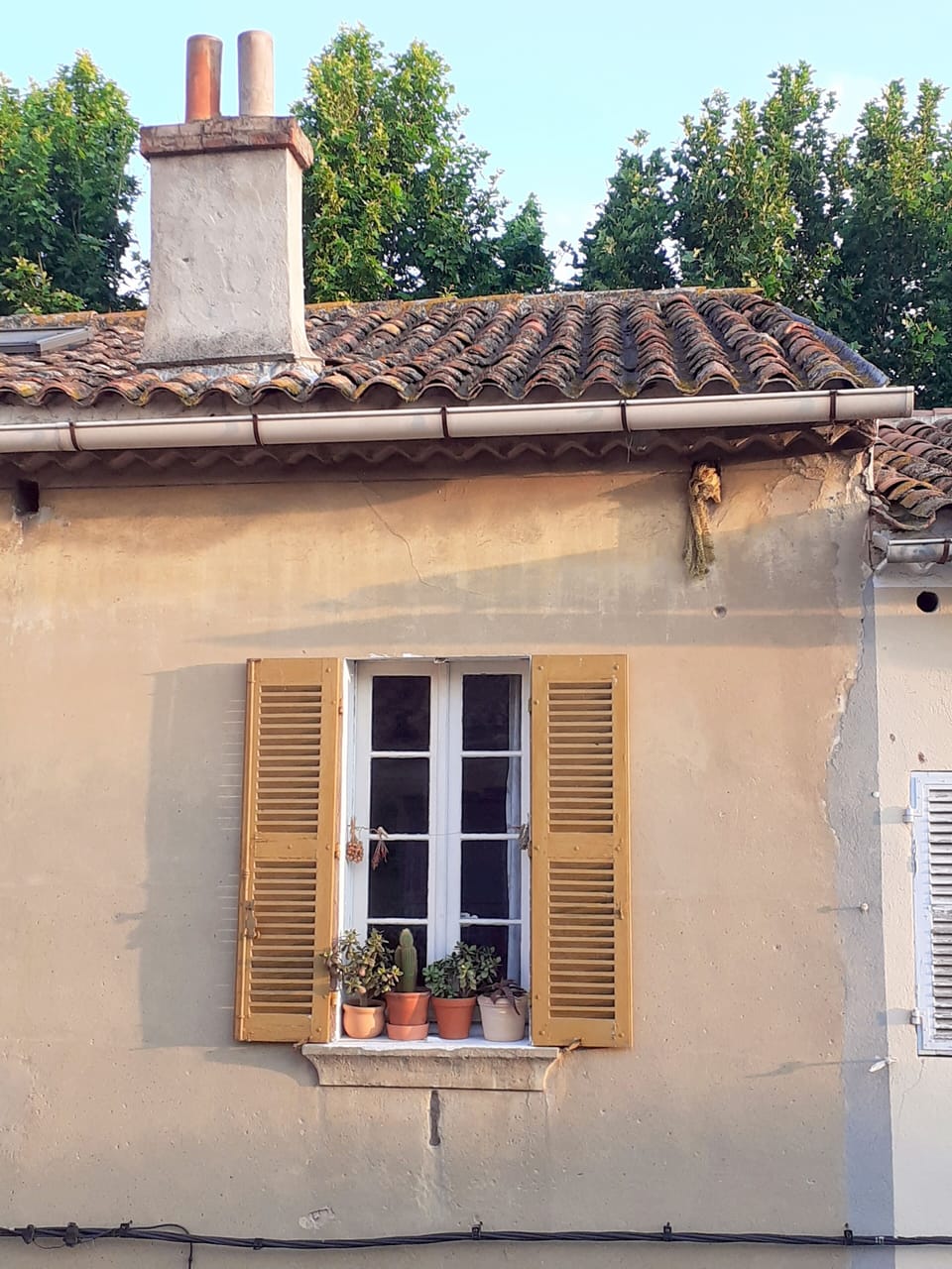 Exterior detail