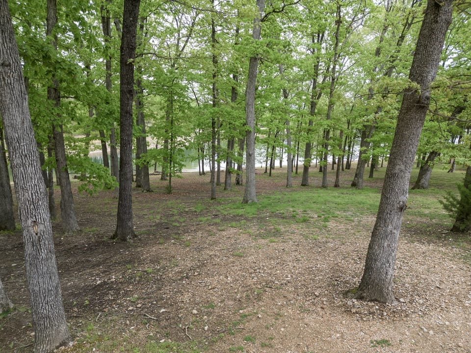 Table Rock lake view