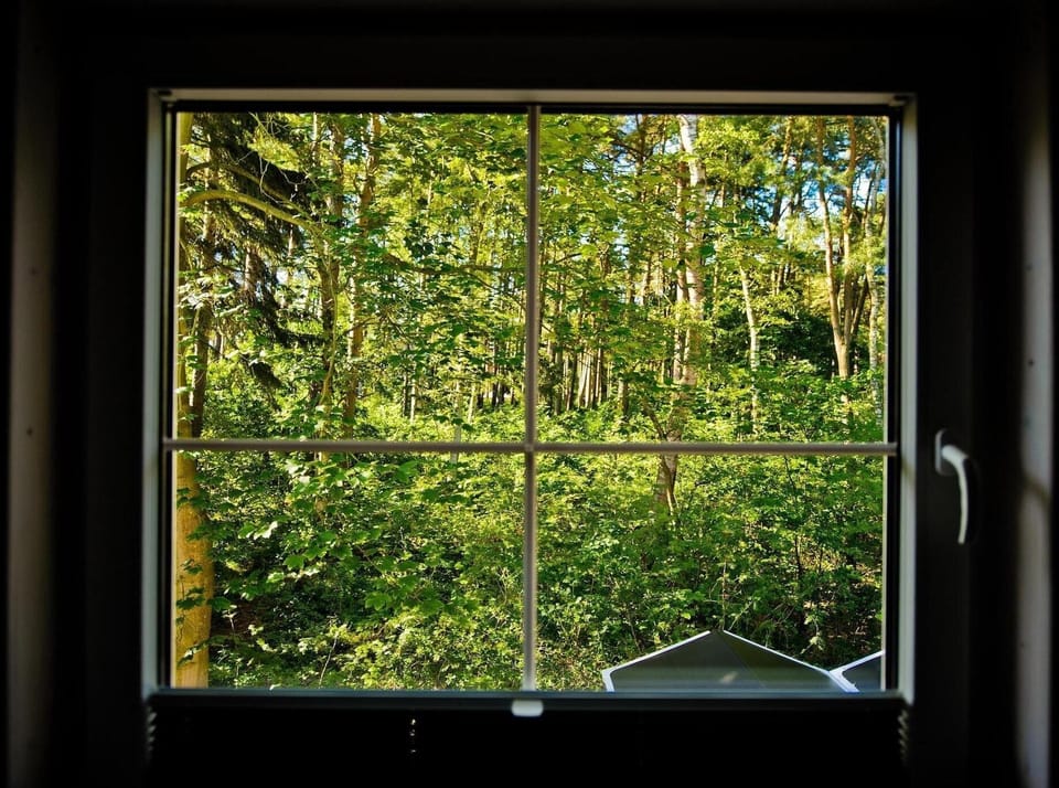 View from Holiday Home [summer]